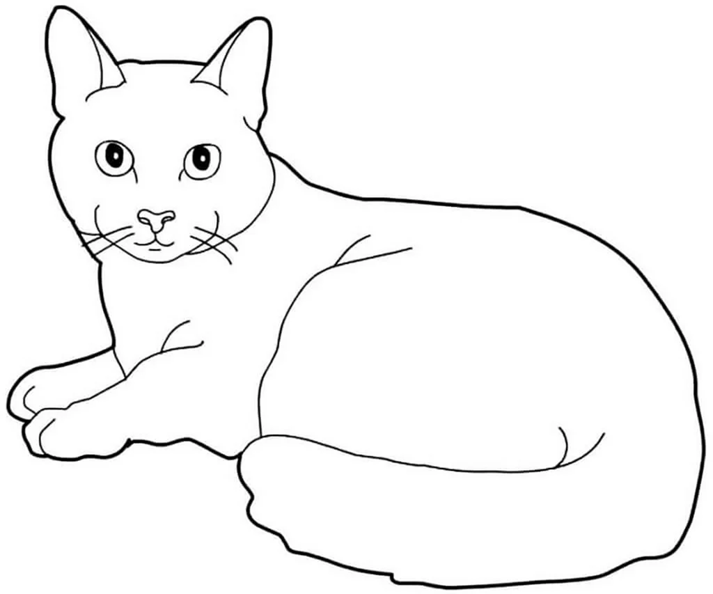 Раскраска домашняя кошка. Для срисовки