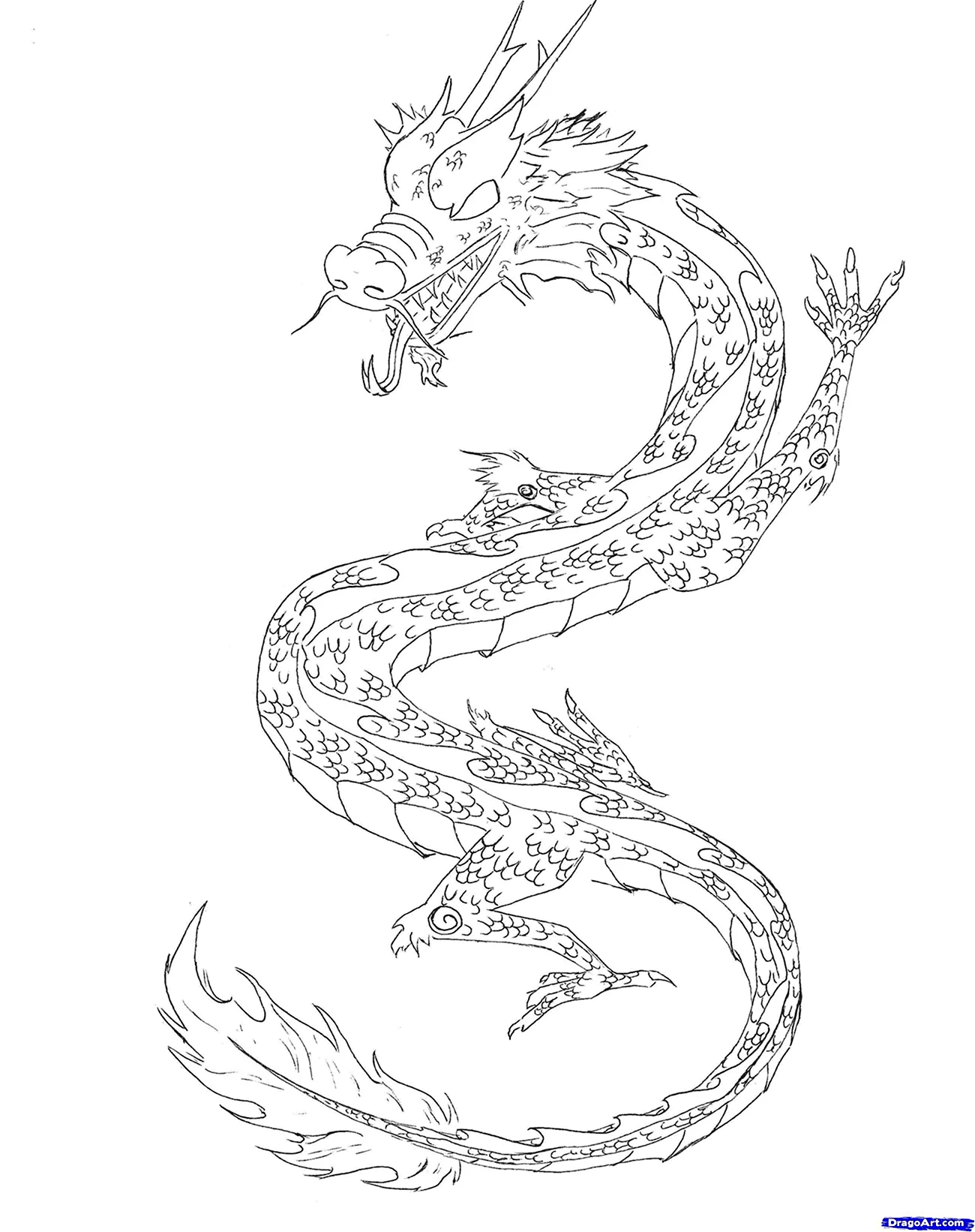 Раскраска китайский дракон реалистичные. Для срисовки