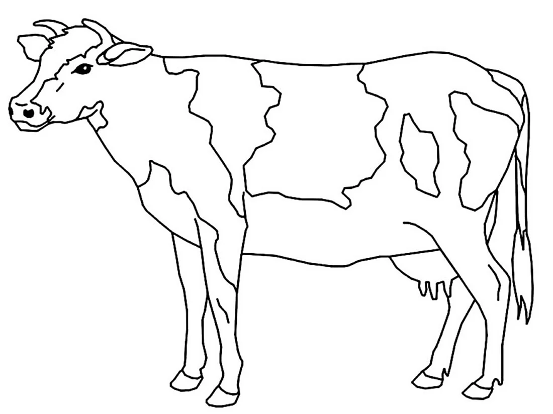 Раскраска корова. Для срисовки