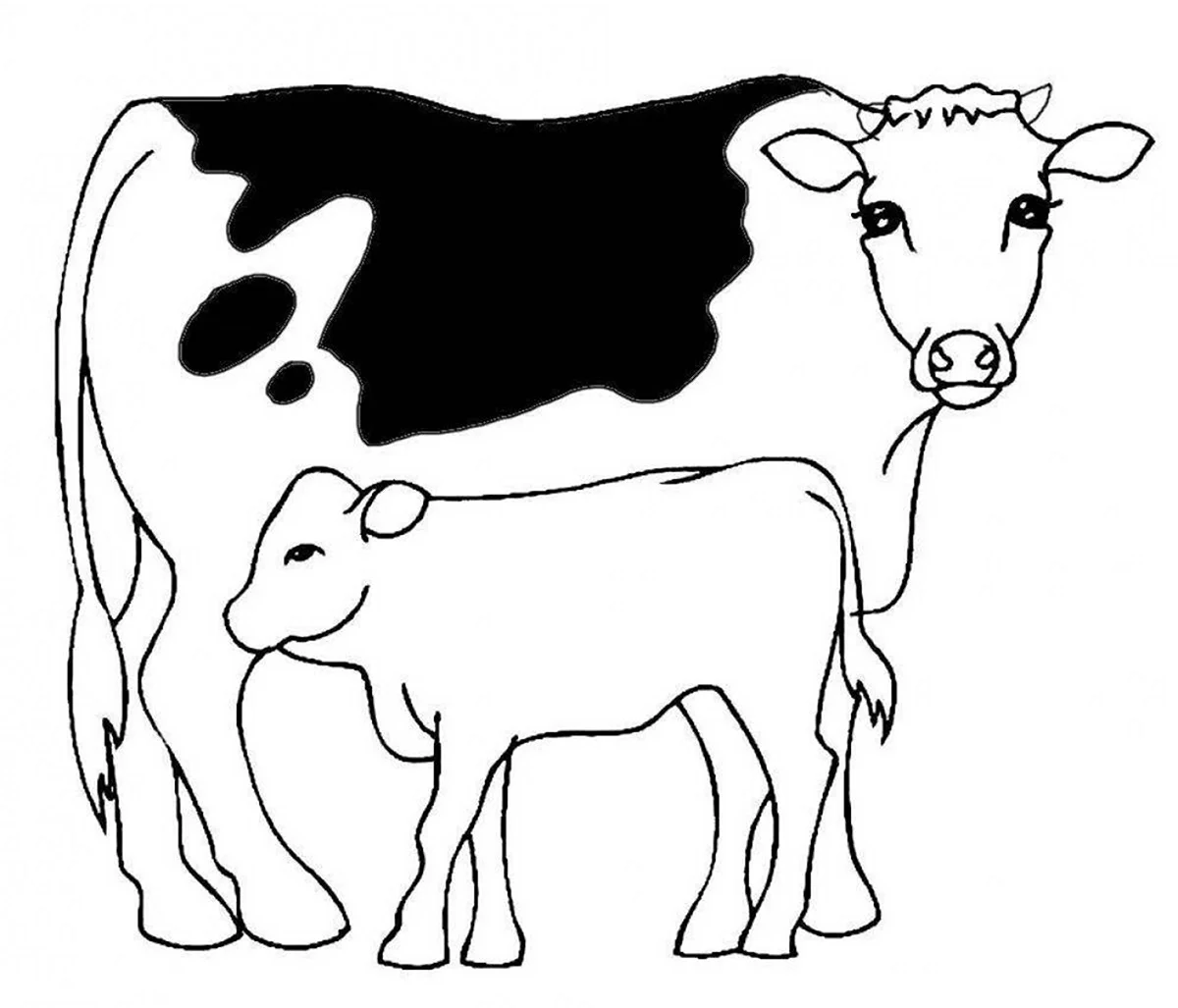 Раскраска корова с теленком. Для срисовки