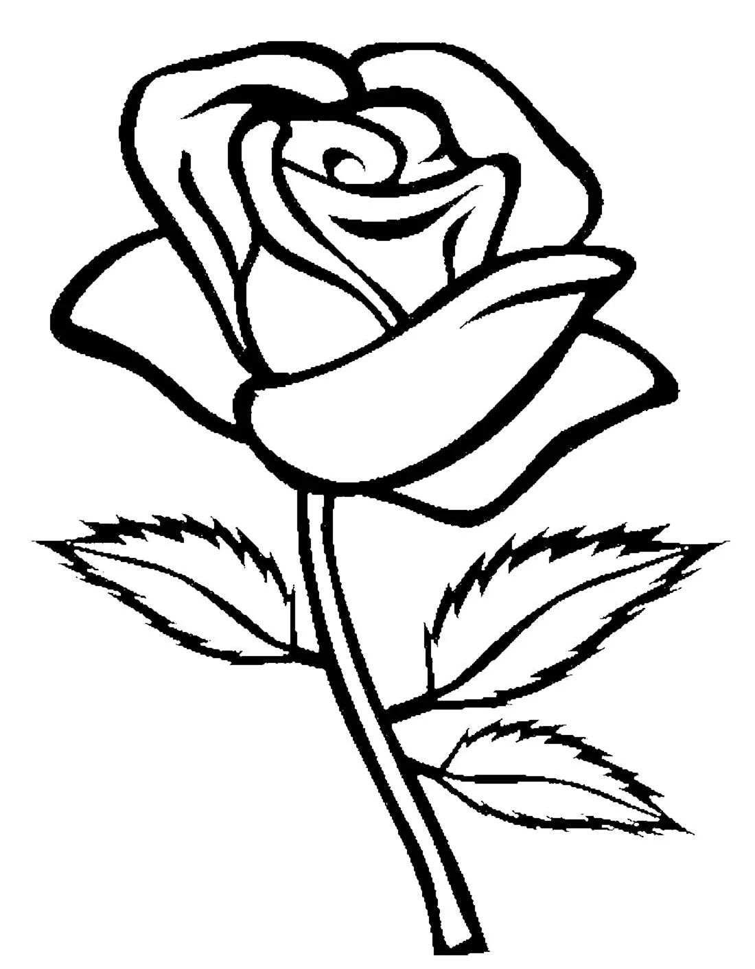Раскраска роза цветок. Красивая картинка
