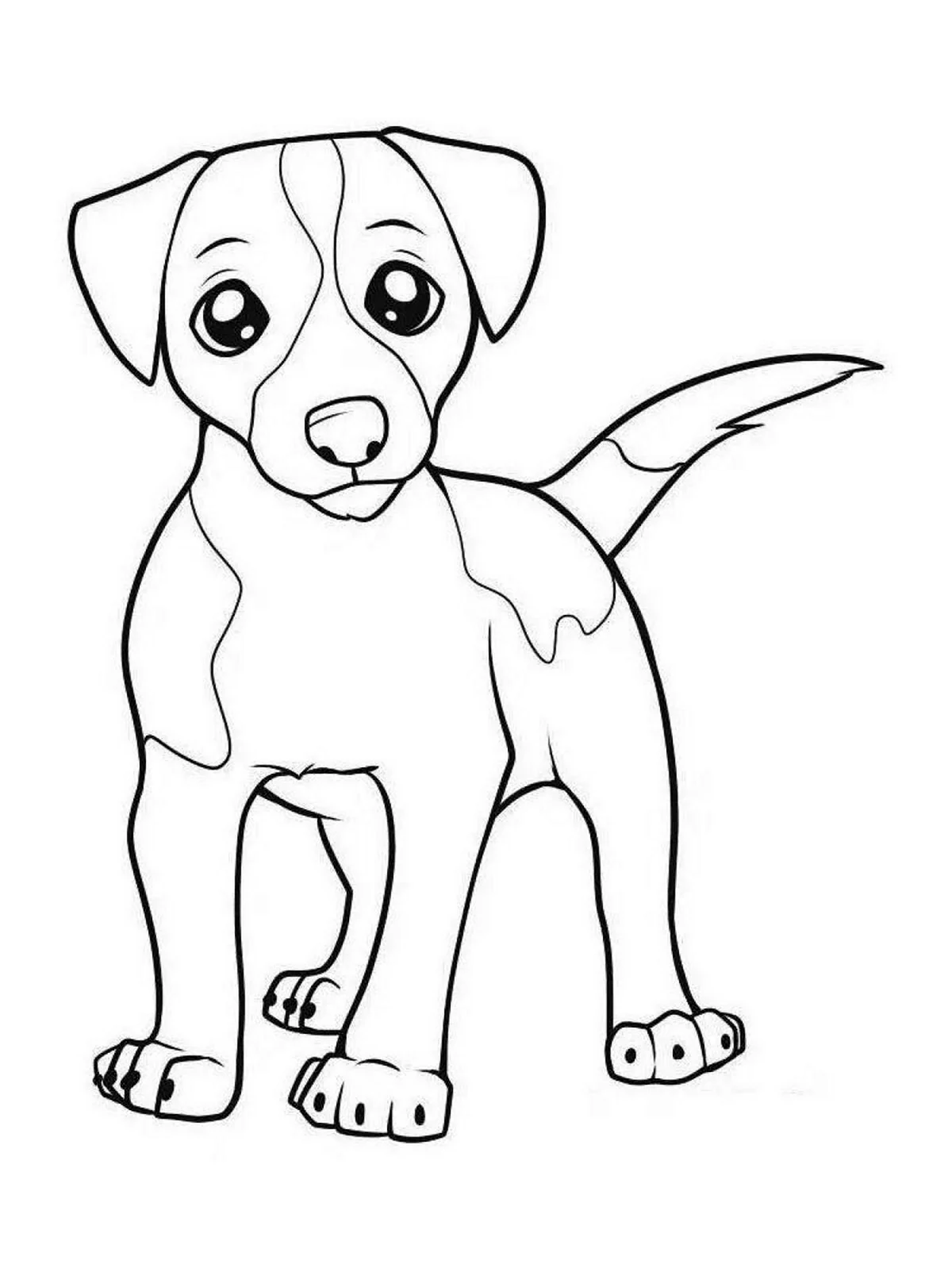 Раскраска щенок Джек Рассел. Для срисовки