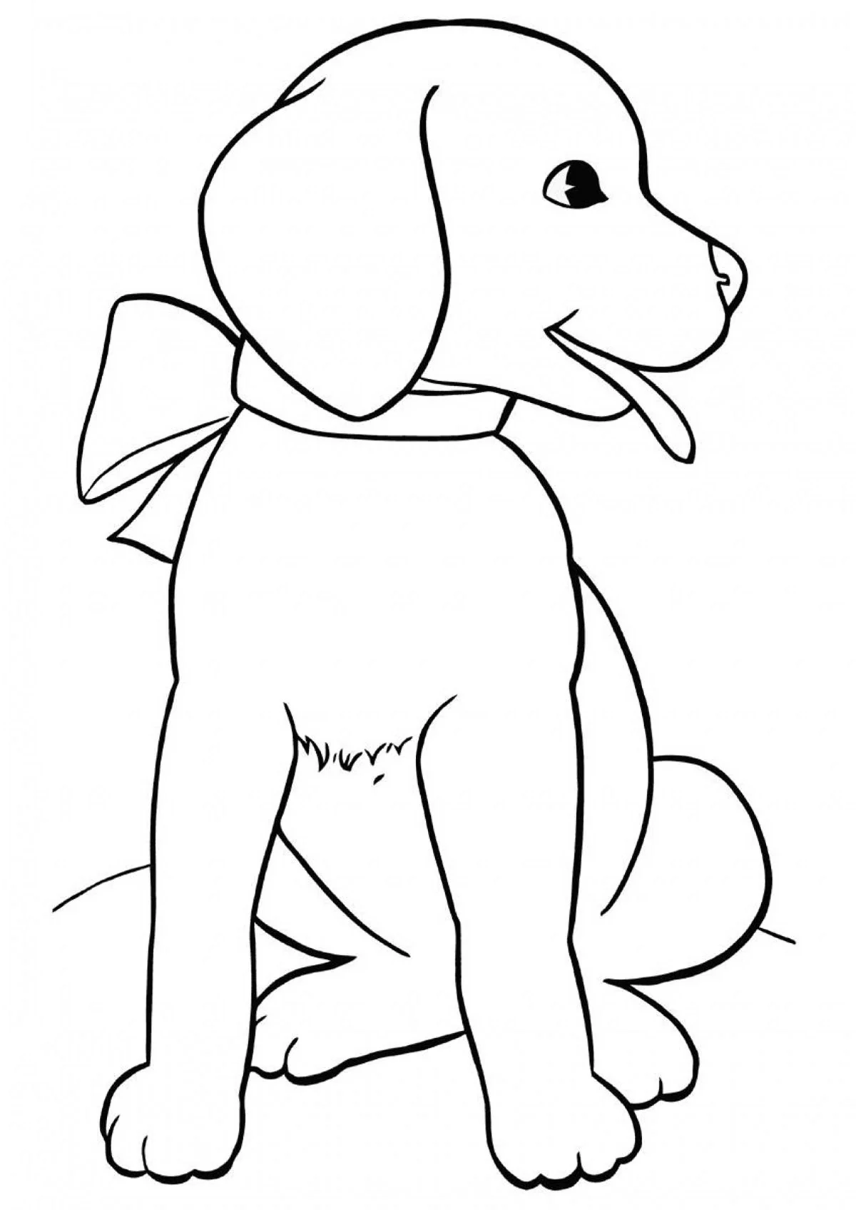 Раскраска щенок лабрадор щенки. Для срисовки