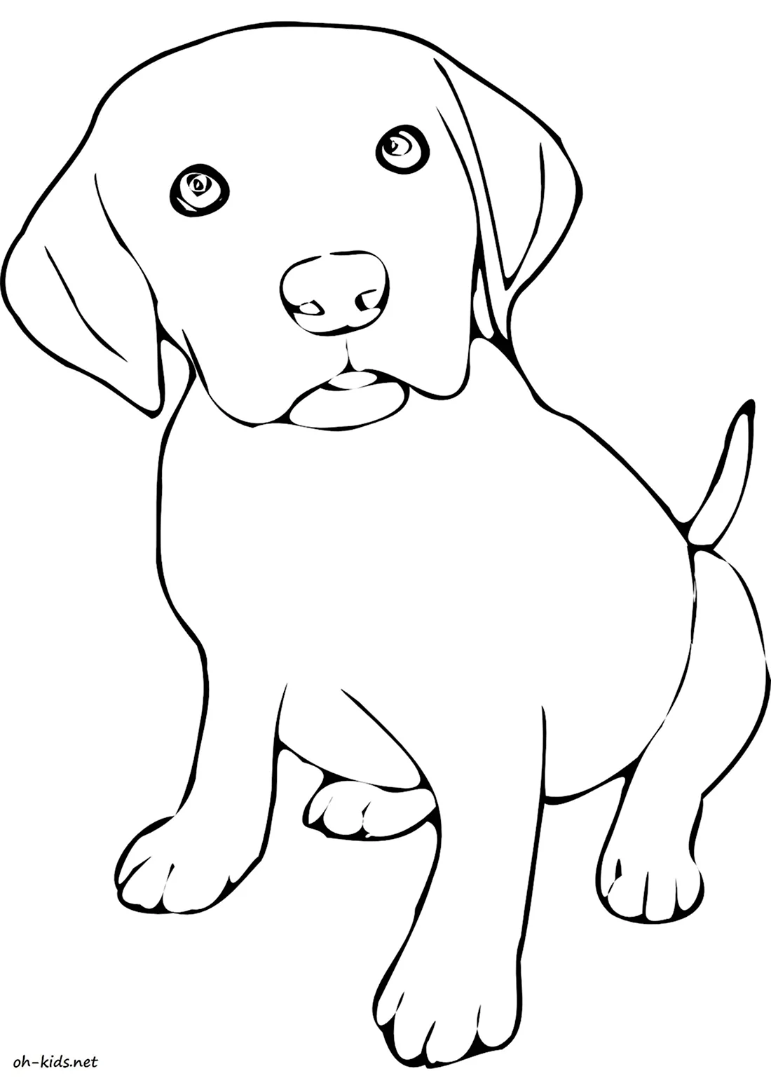 Раскраска щенок лабрадор щенки. Красивые картинки животных