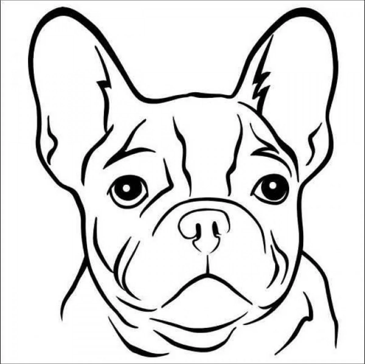Раскраска собачка французский бульдог. Для срисовки