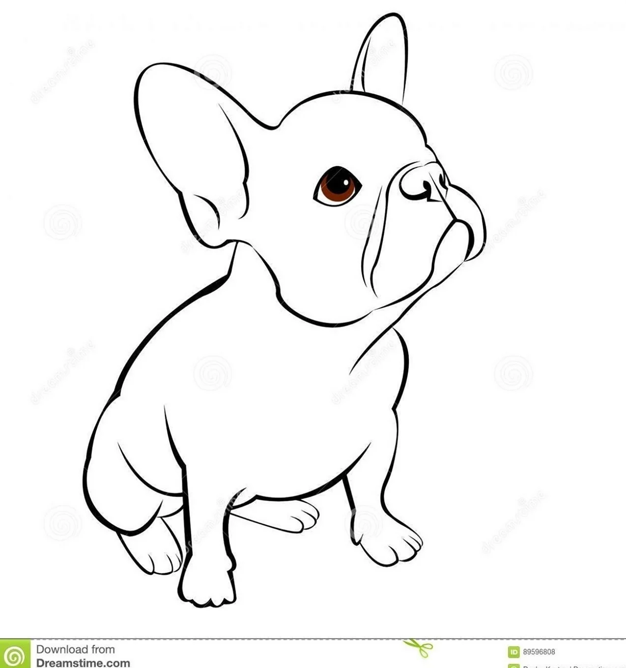 Раскраска собачка французский бульдог. Для срисовки