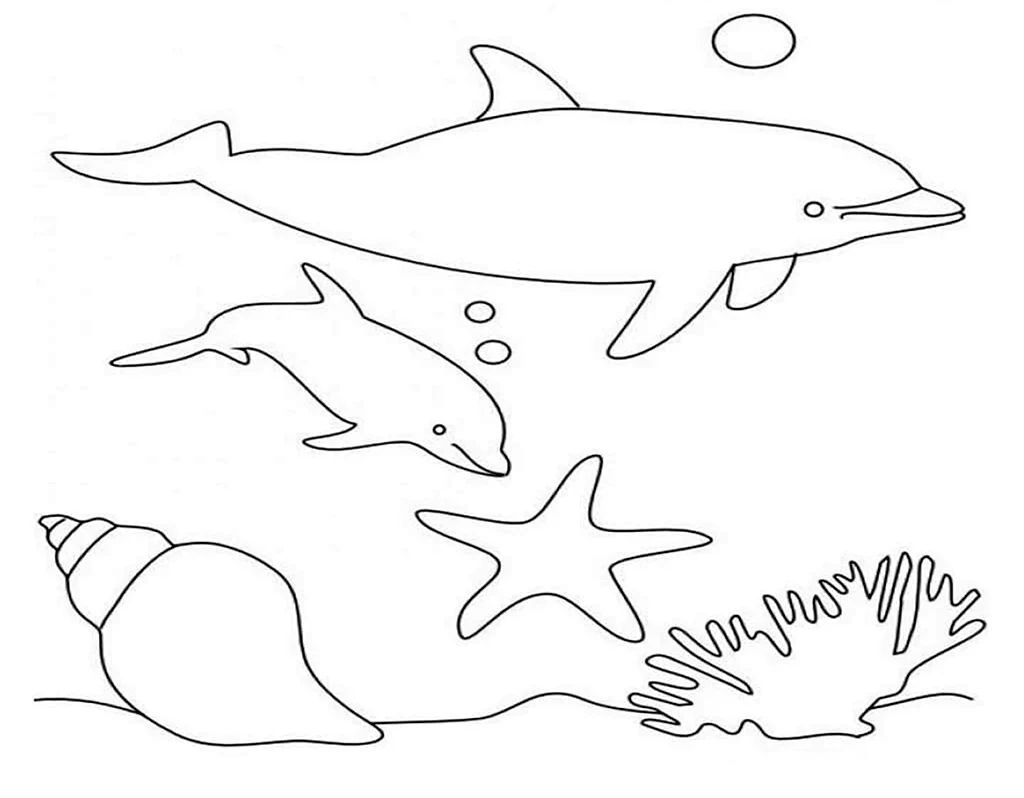 Раскраски дельфины и морские обитатели. Для срисовки