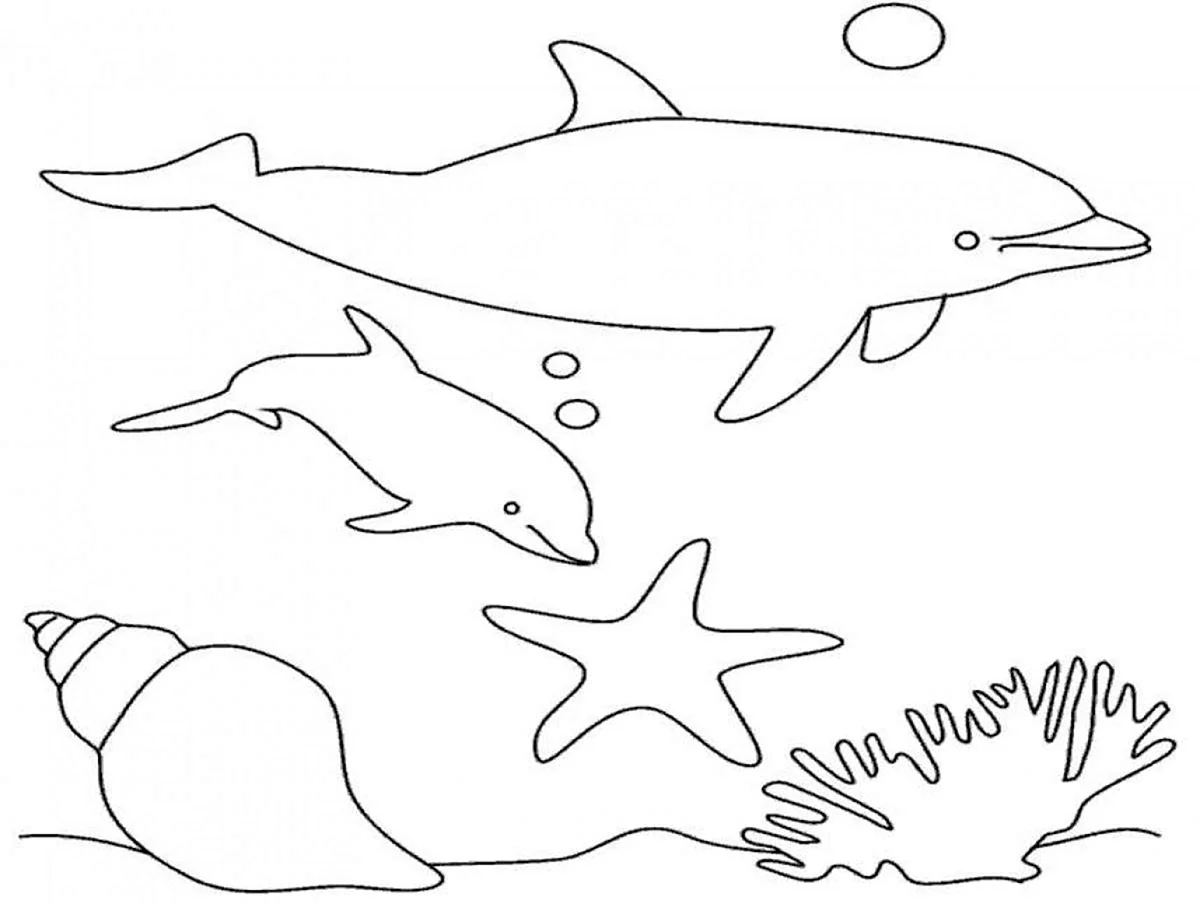 Раскраски дельфины и морские обитатели. Для срисовки