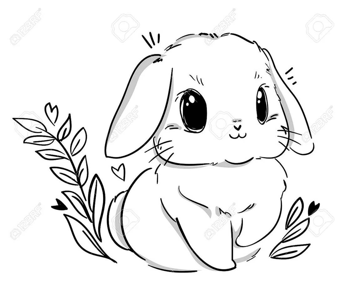 Раскраски кролики милые. Красивые картинки животных