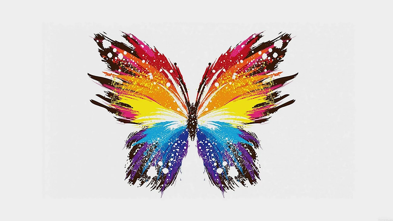 Разноцветные бабочки. Красивая картинка