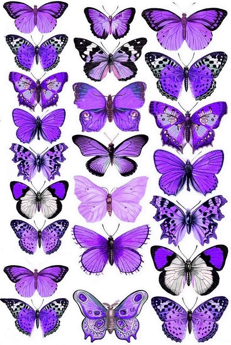 Разноцветные бабочки. Своими руками