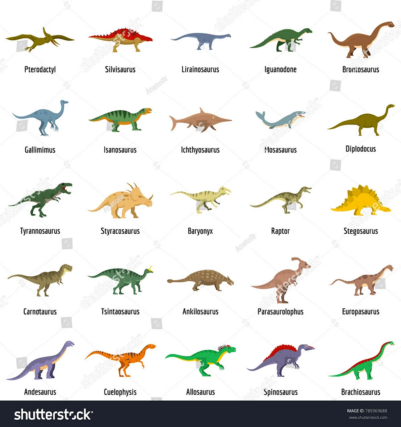 Разновидности динозавров. Картинка