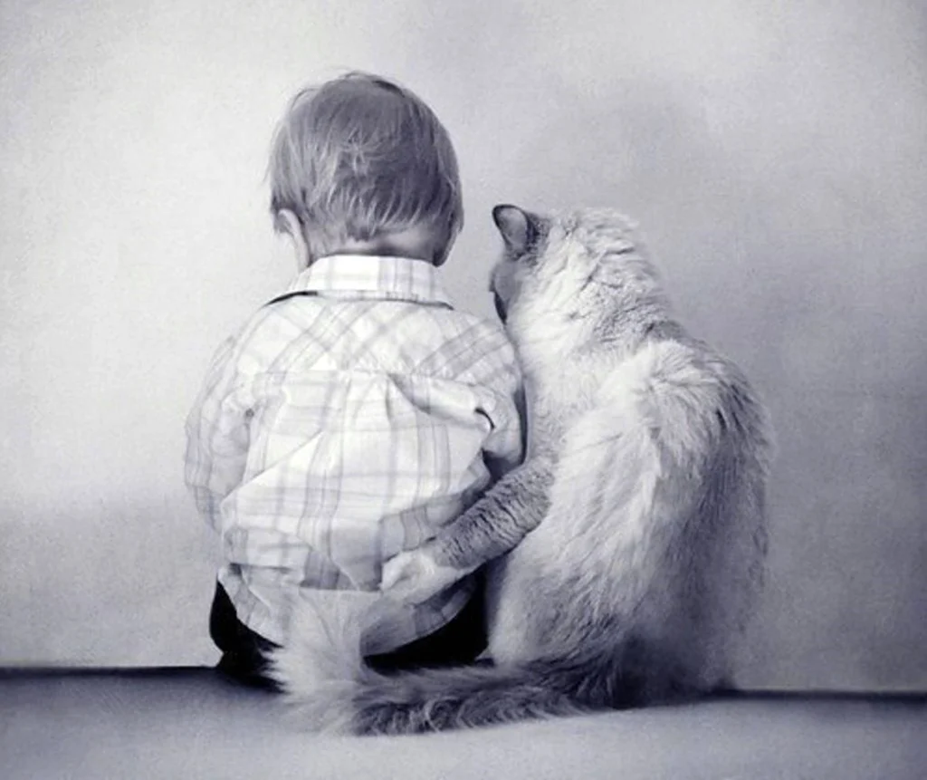 Ребенок обнимает кота. Открытка на каждый день