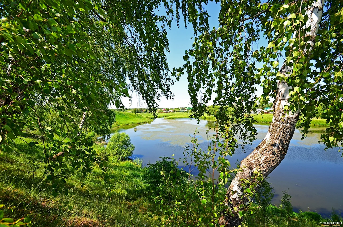 Река Березка Тверская область. Картинка
