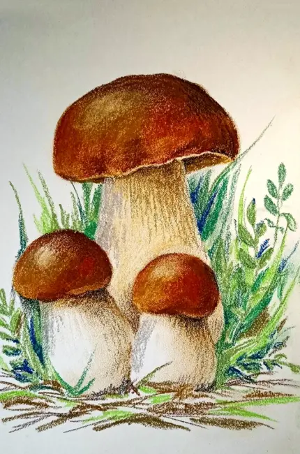 Рисование грибов. Для срисовки