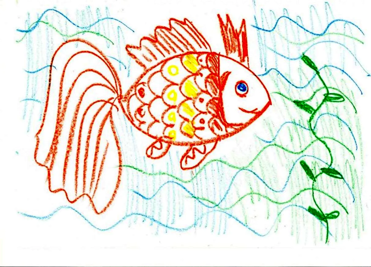 Рисование Колдина рыбка Золотая подготовительная. Для срисовки