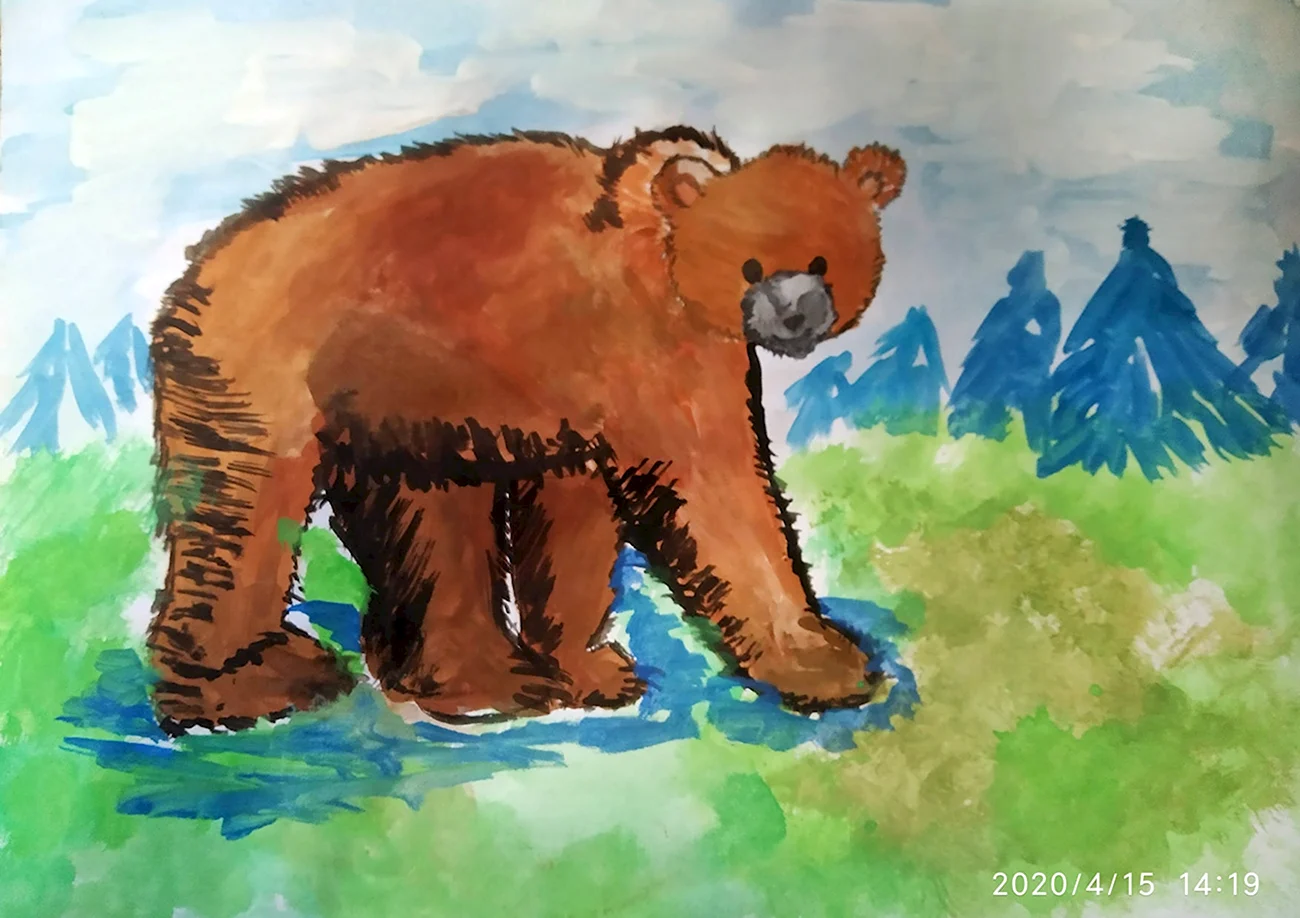 Рисование медведя. Для срисовки
