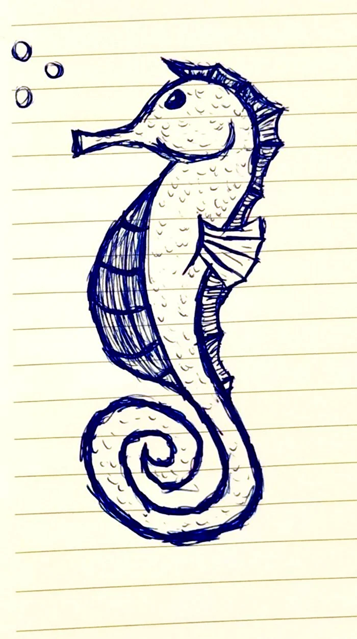 Рисование морской конек. Для срисовки