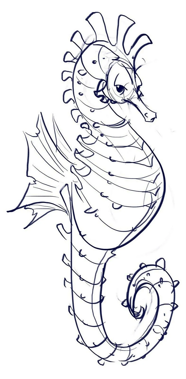 Рисование морской конек. Для срисовки