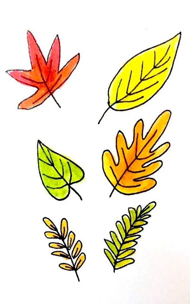 Рисование осенних листьев. Картинка