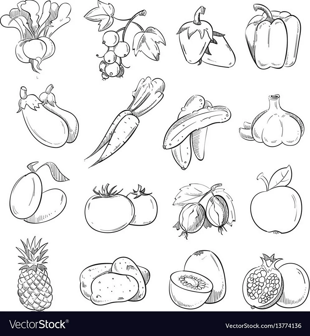 Рисование овощей и фруктов. Для срисовки