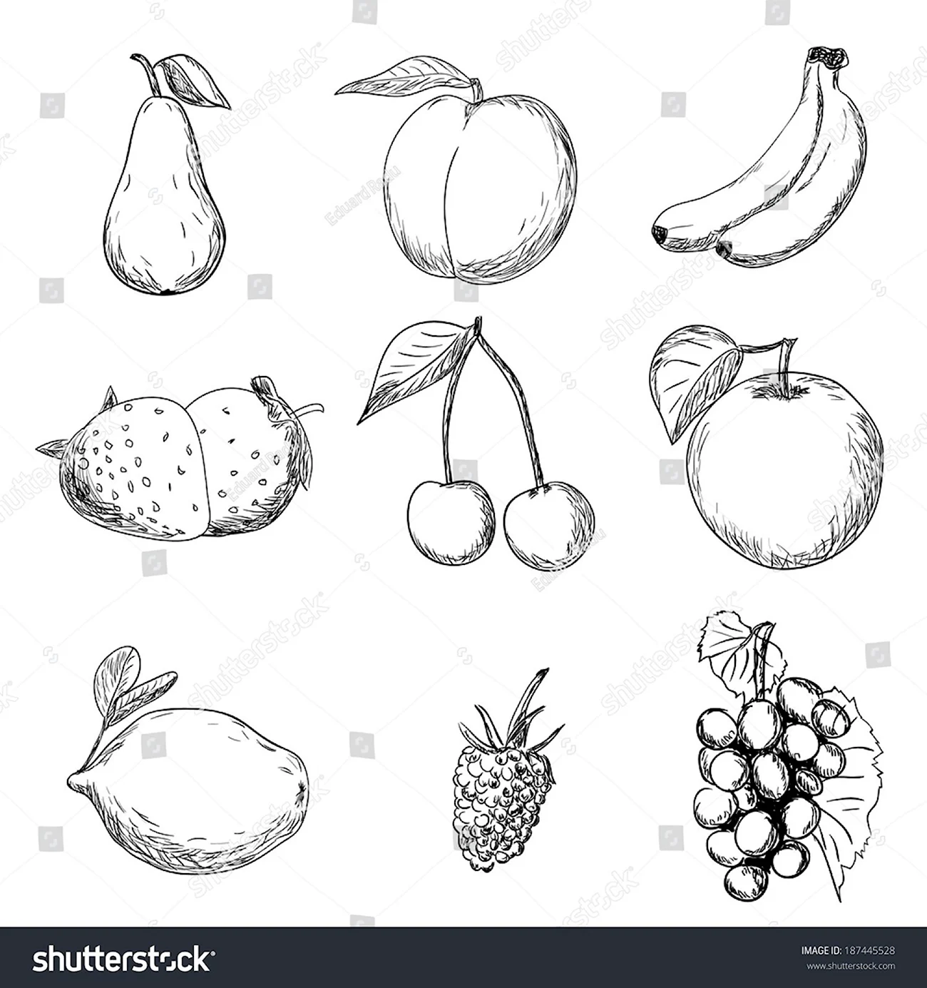 Рисование овощи и фрукты. Для срисовки