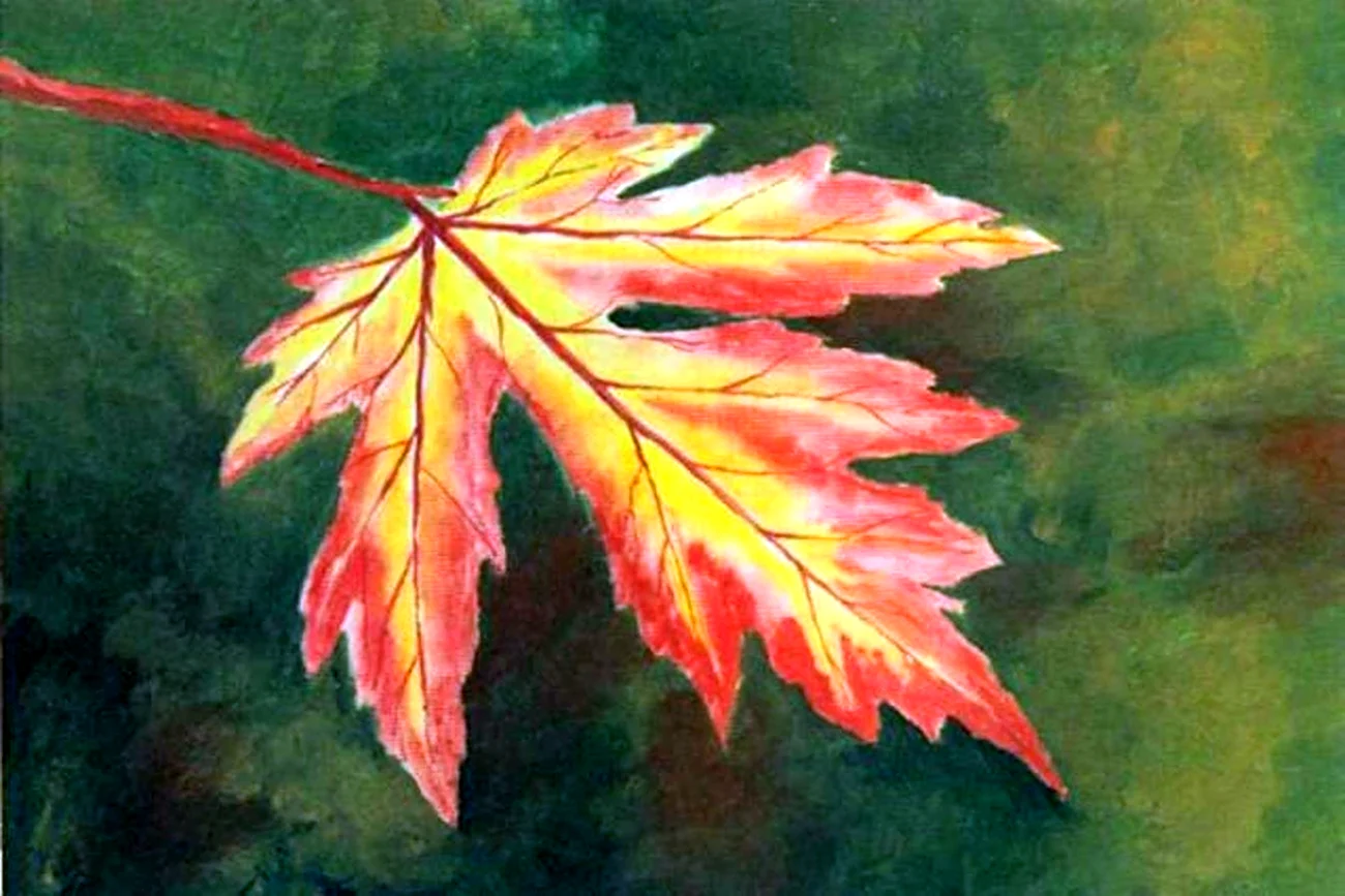 Рисование с натуры осенних листьев.. Картинка