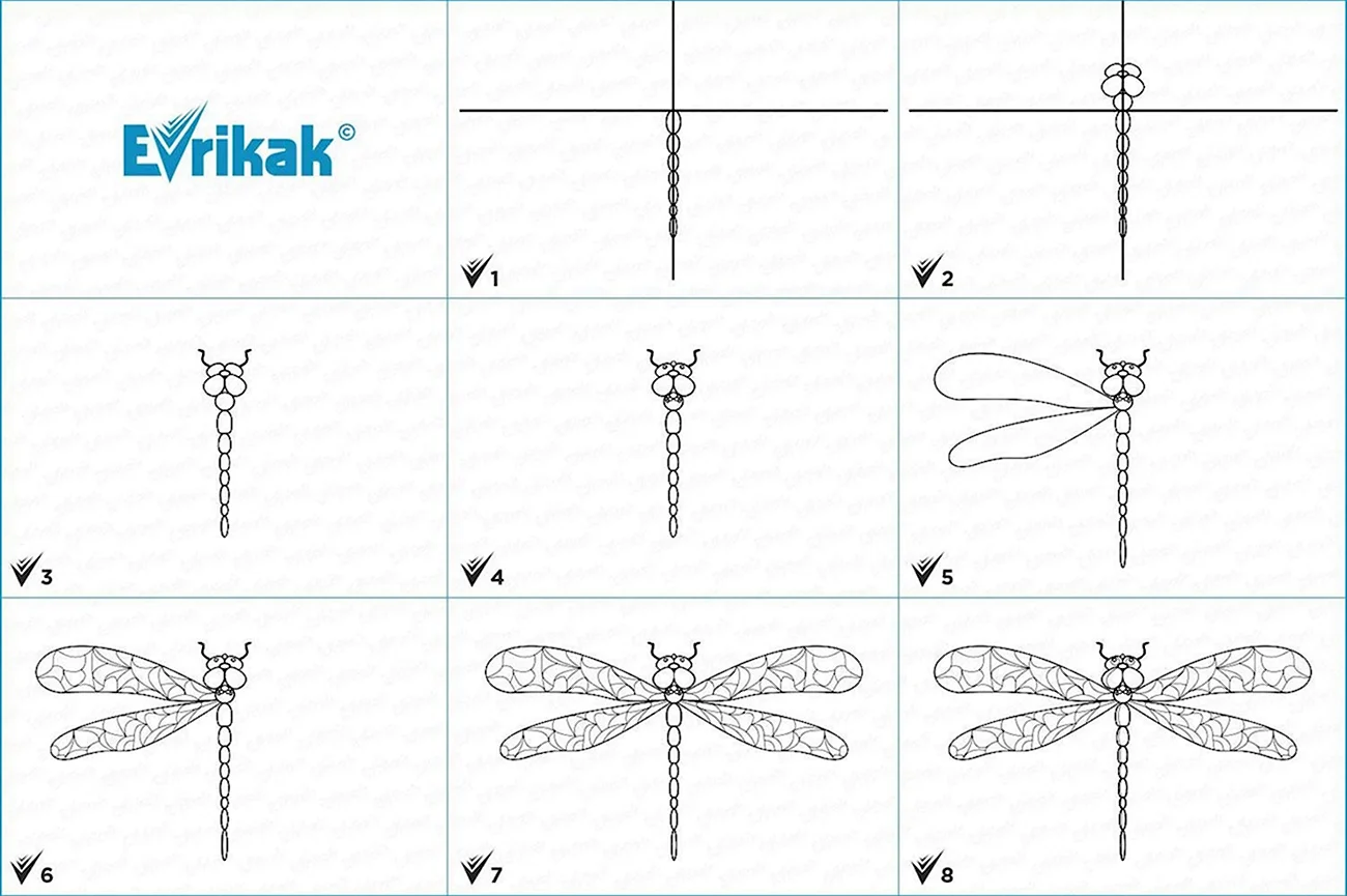 Рисование симметричных форм насекомые бабочка Стрекоза Жук по выбору. Для срисовки