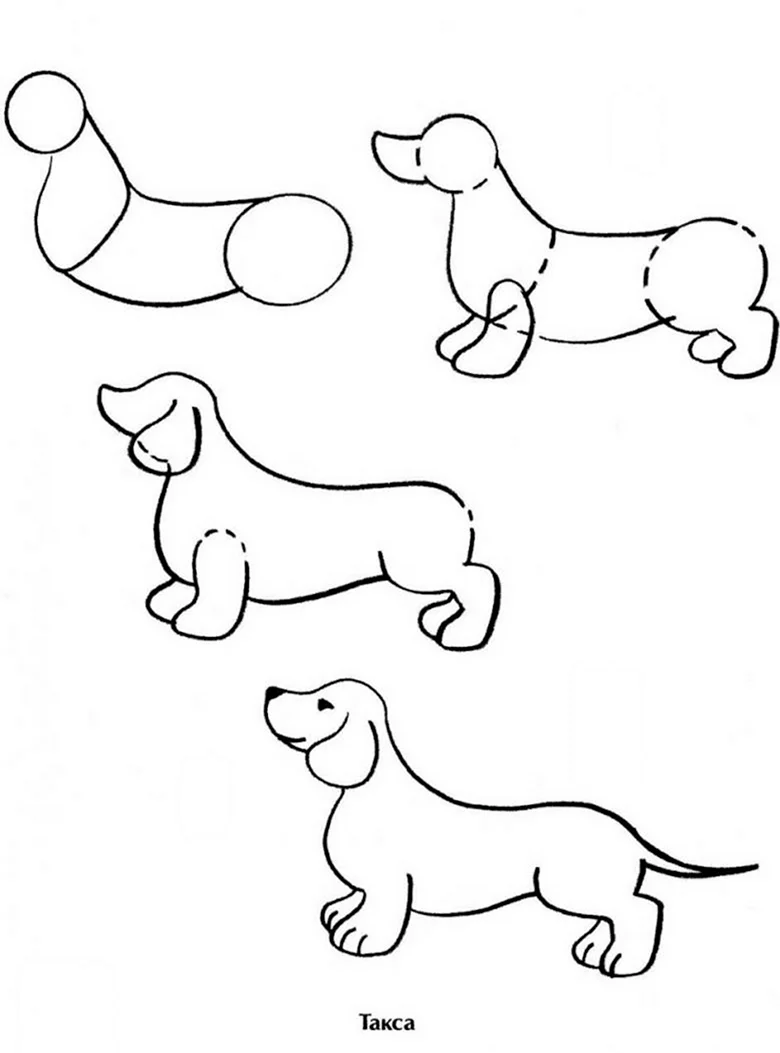 Рисование собаки. Для срисовки
