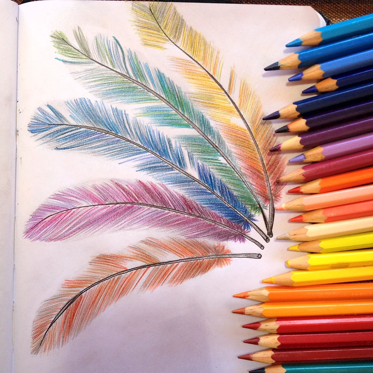 Рисование цветными карандашами. Для срисовки