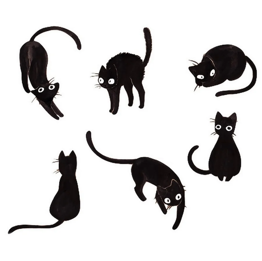Рисовать черного кота. Для срисовки