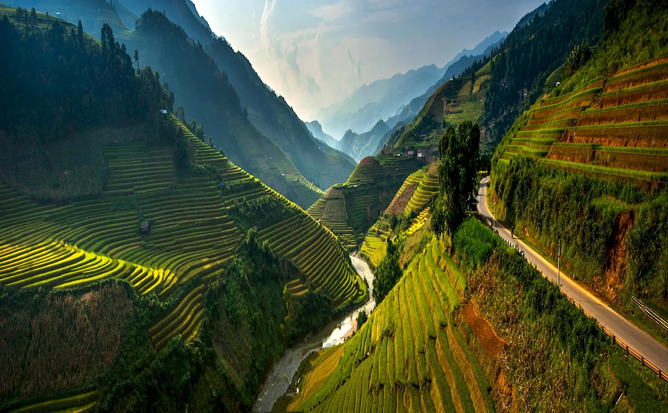 Рисовые террасы в му Кан чай Вьетнам. Картинка