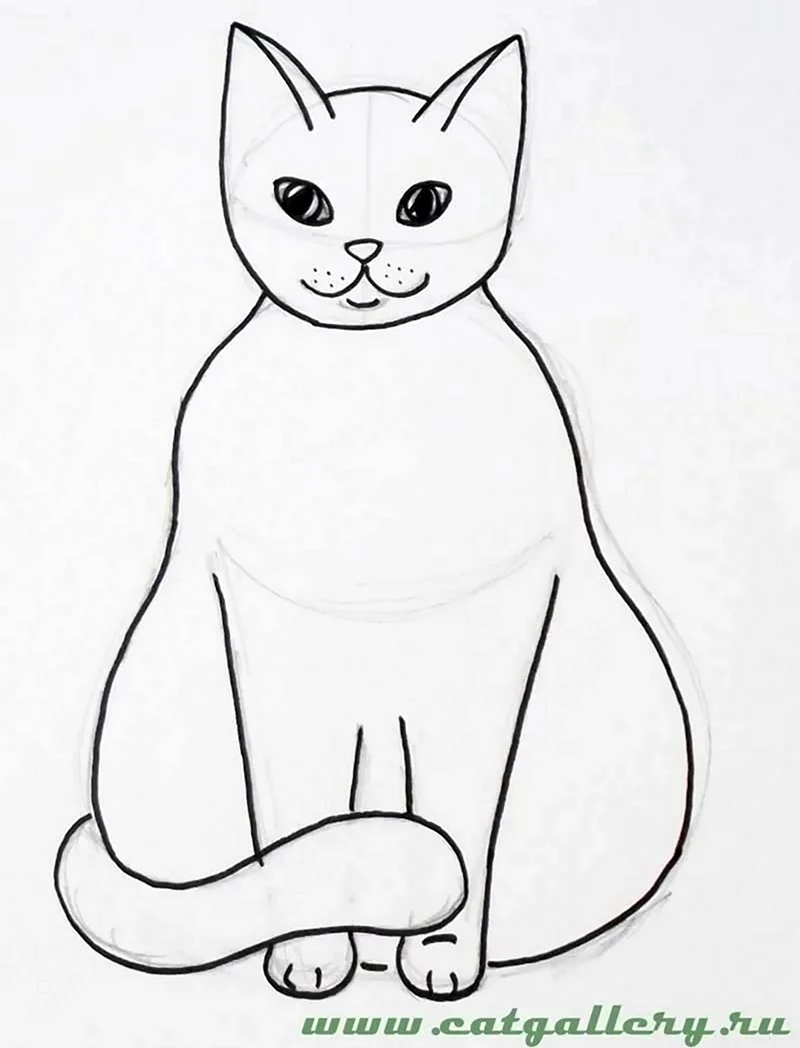 Рисуем кошку. Для срисовки
