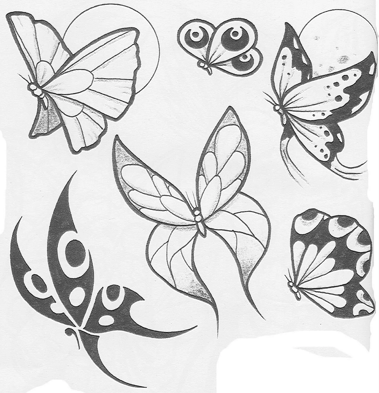 Рисунки бабочек для срисовки. Для срисовки