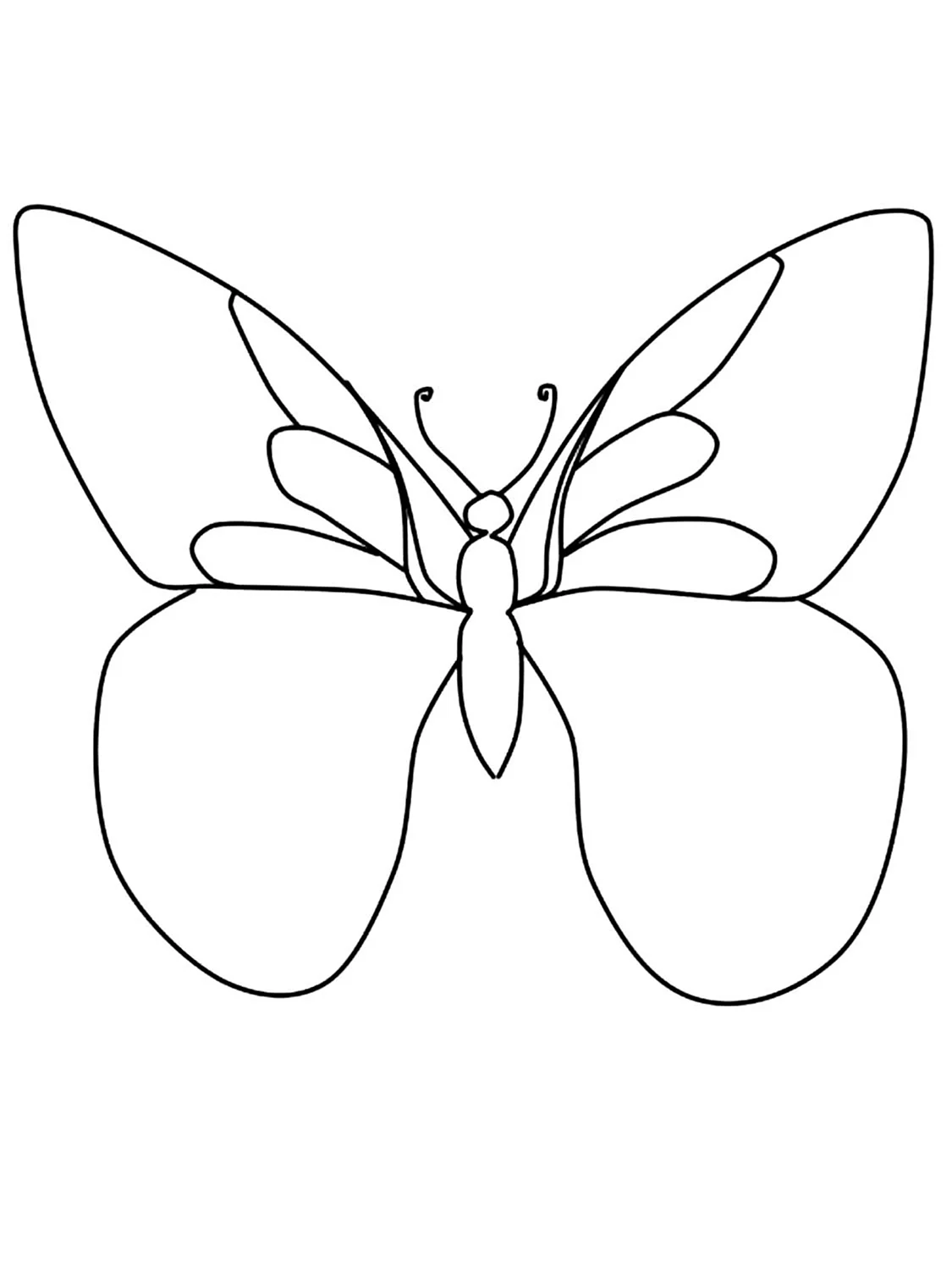 Рисунки бабочек для срисовки. Для срисовки