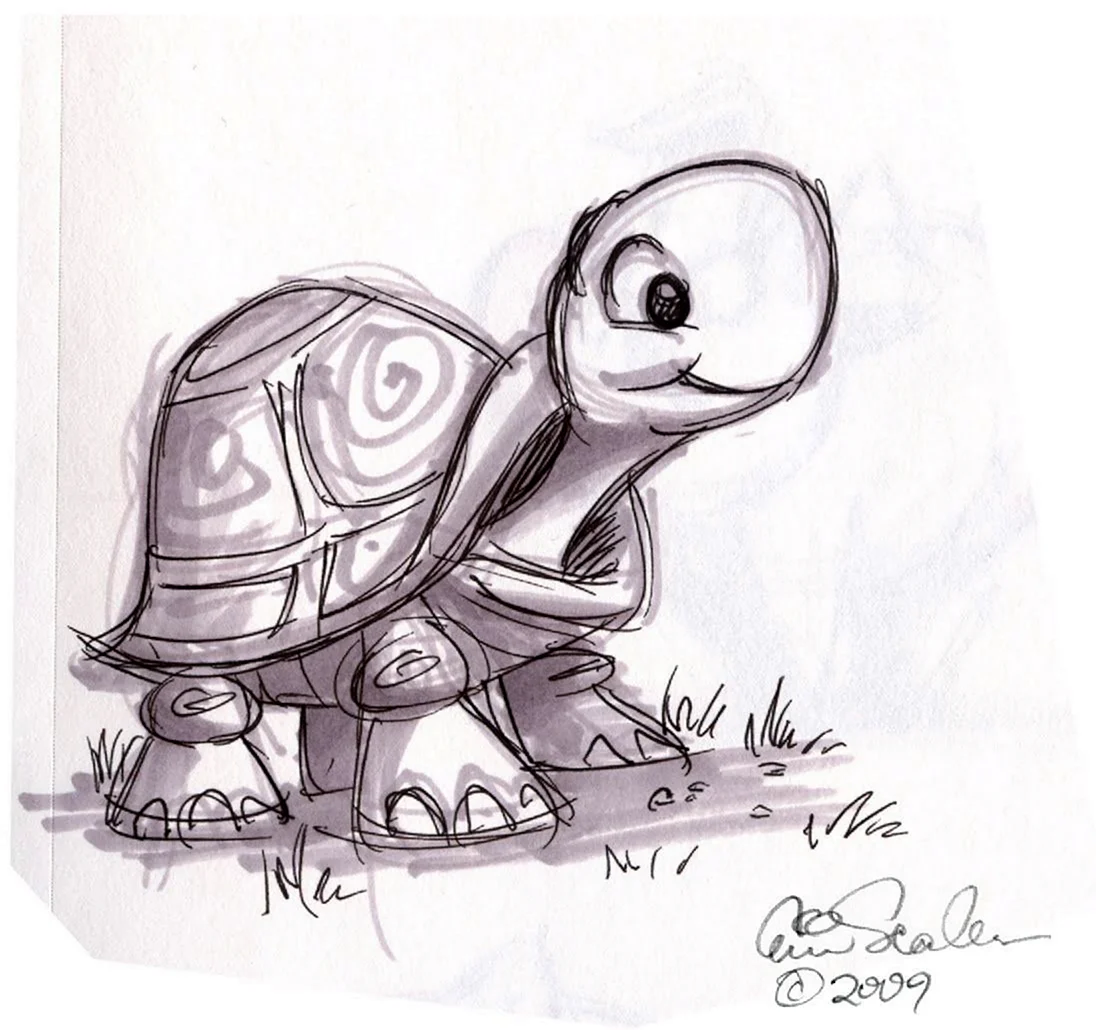 Рисунки черепахи для срисовки. Для срисовки