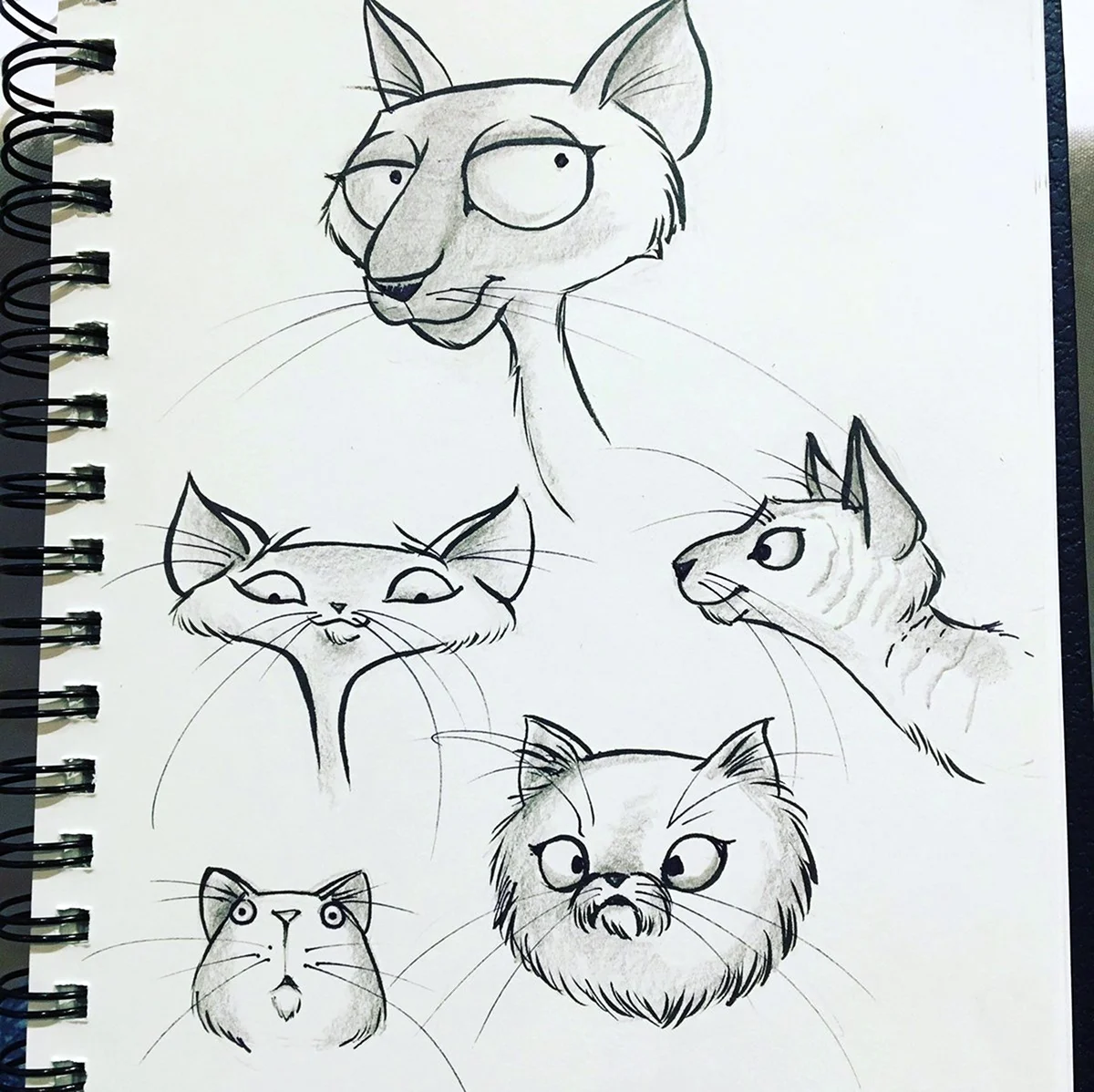 Рисунки для скетчбука коты. Для срисовки