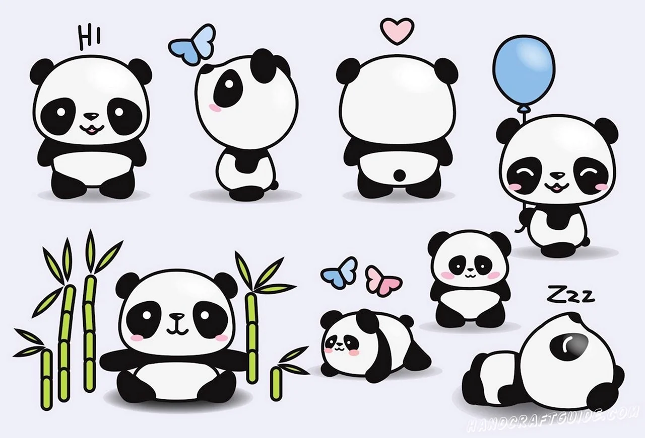 Рисунки для срисовки лёгкие Панда. Для срисовки