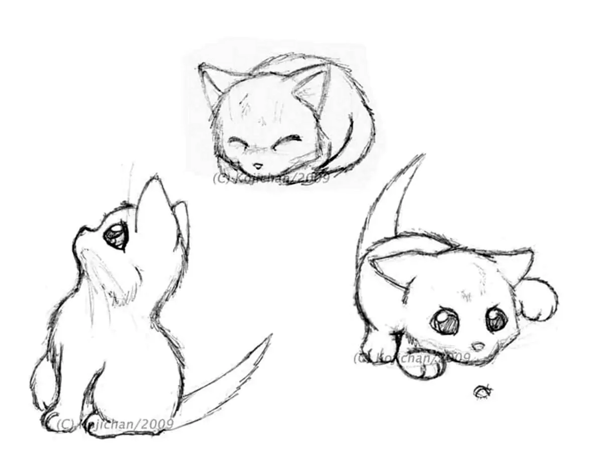 Рисунки для срисовки маленькие животные. Для срисовки