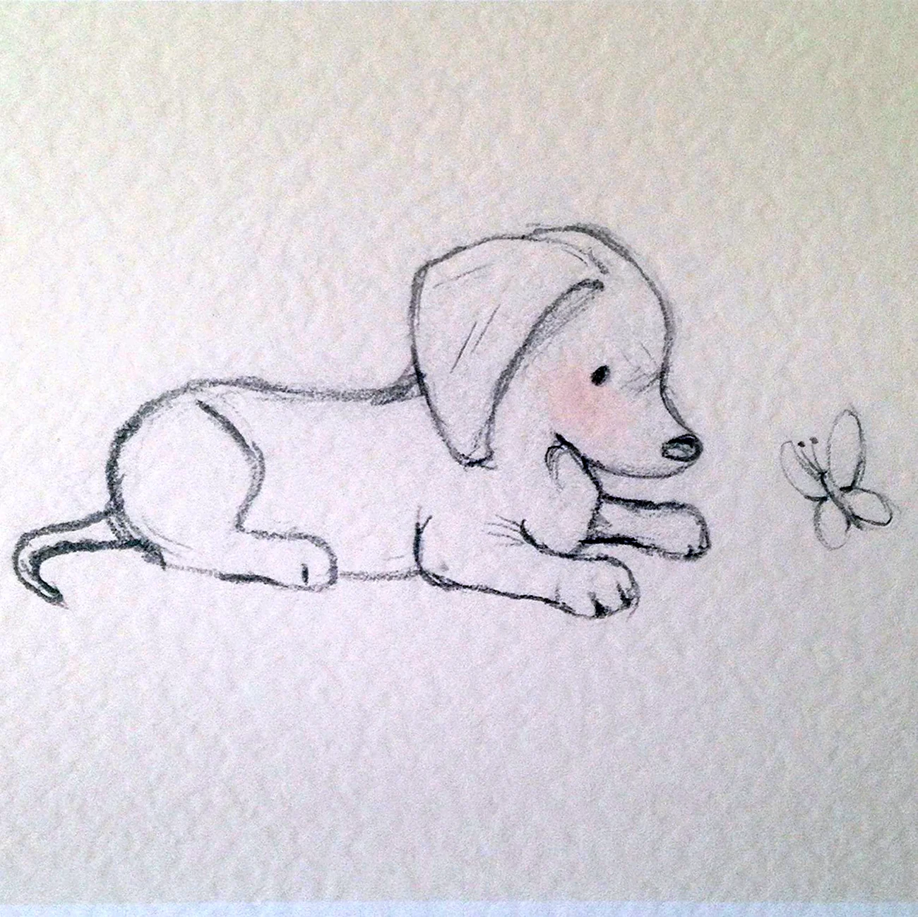 Рисунки для срисовки собака легко. Для срисовки