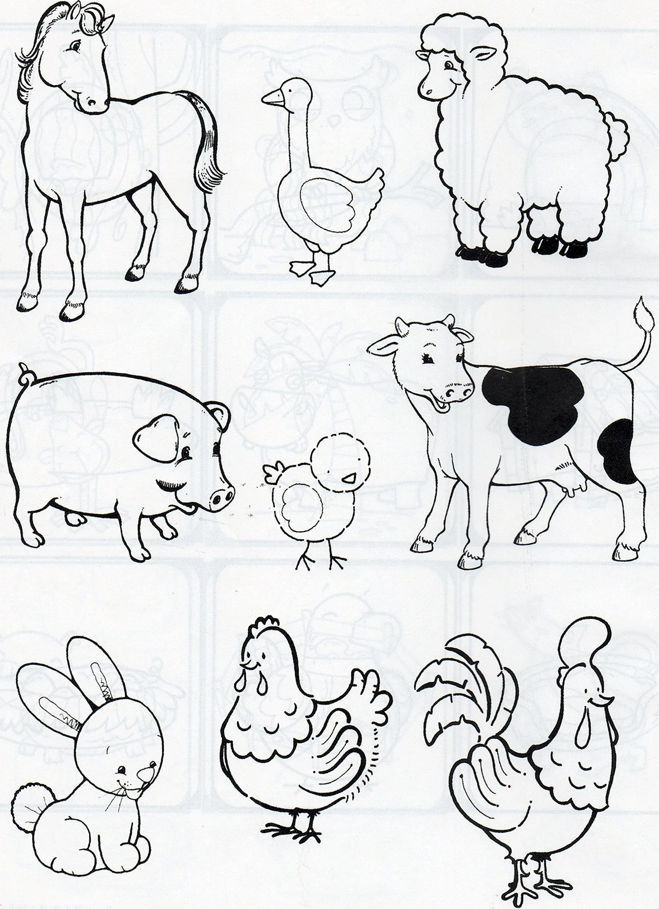 Рисунки домашних животных. Для срисовки