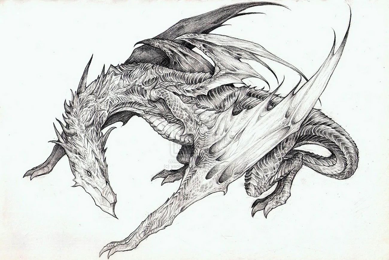 Рисунки драконов. Для срисовки