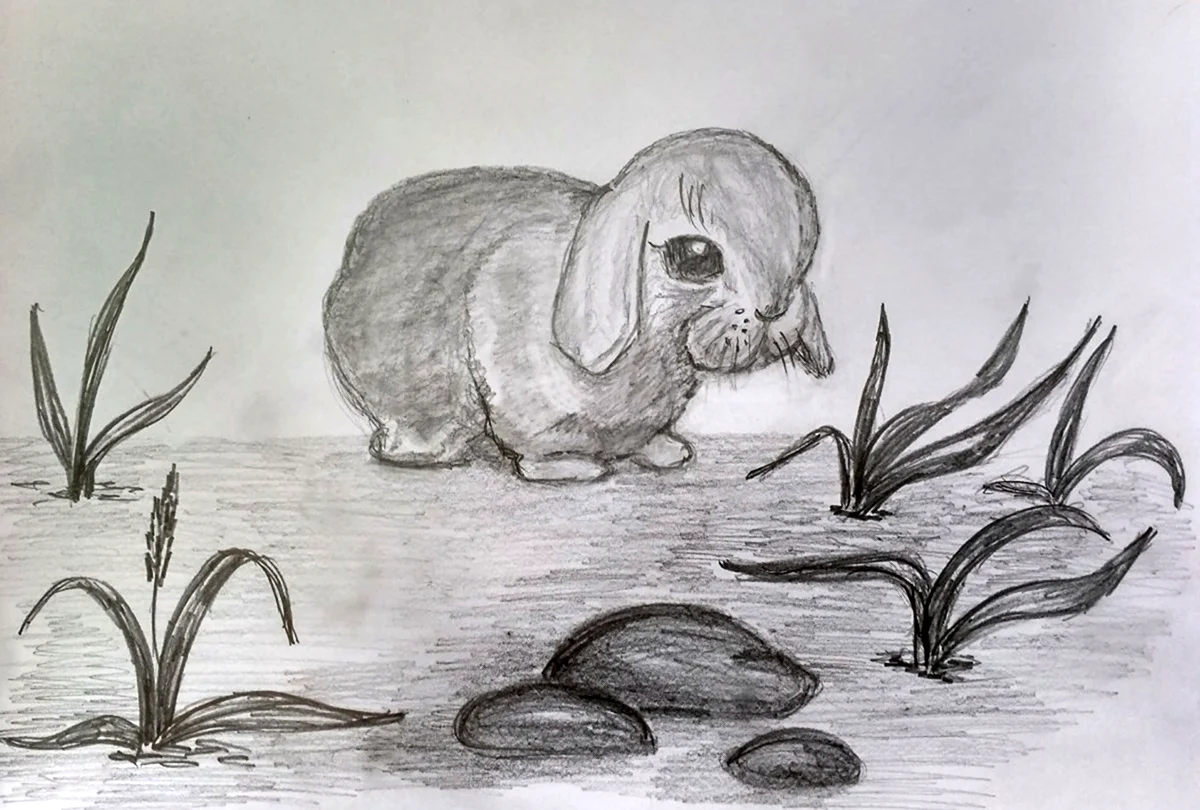 Рисунки карандашом природа и животные. Для срисовки