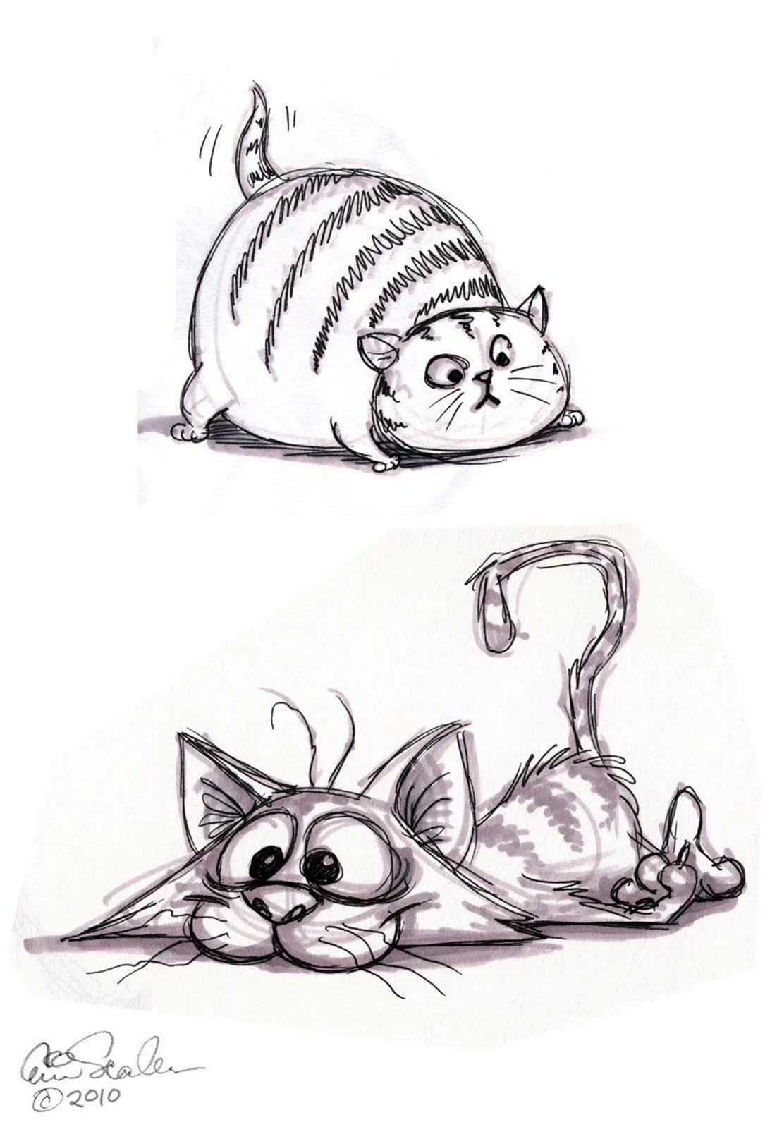 Рисунки котиков для срисовки. Для срисовки