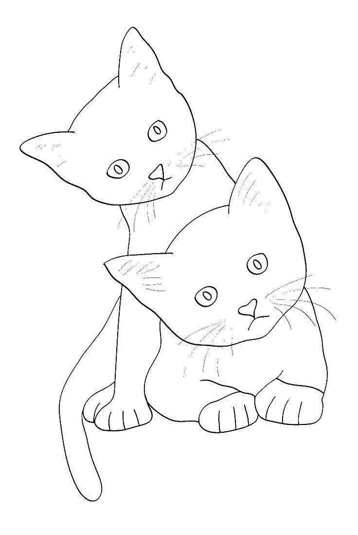 Рисунки котиков для срисовки. Красивые картинки животных