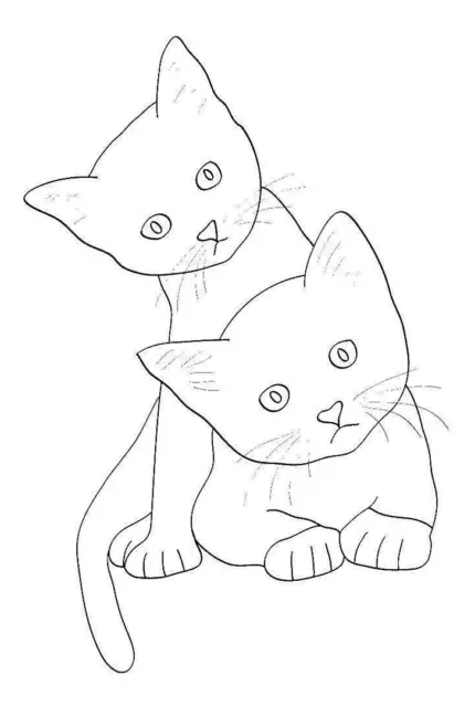 Рисунки котиков для срисовки. Для срисовки