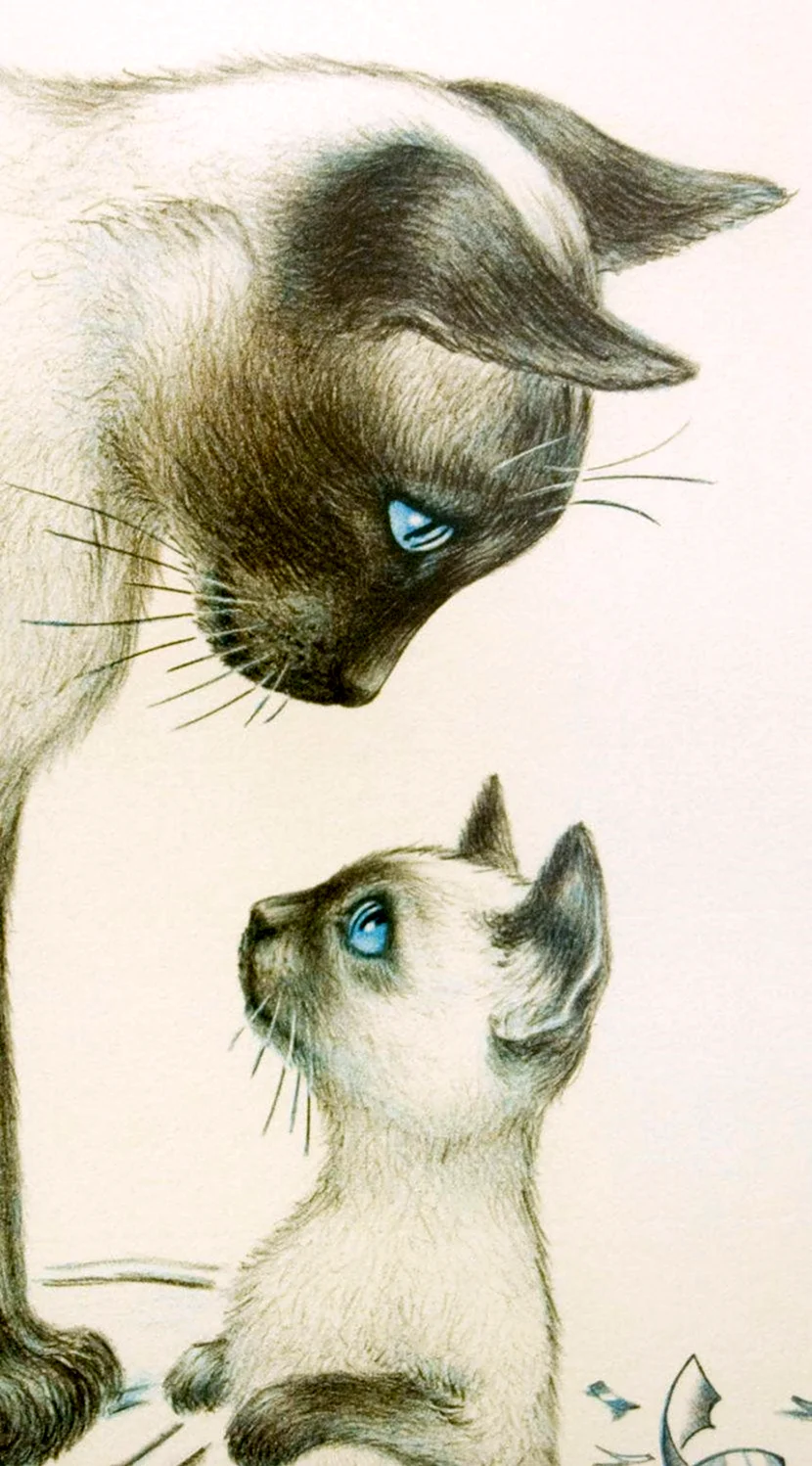 Рисунки котов. Красивые картинки животных