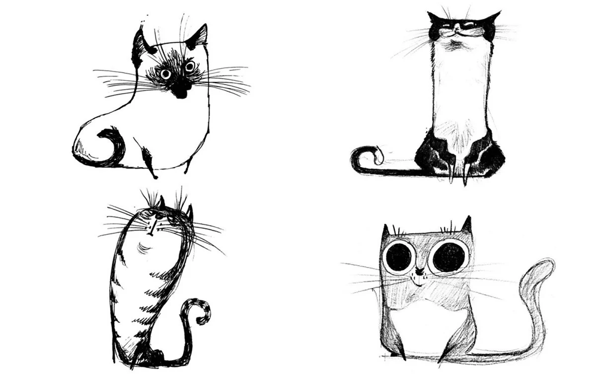 Рисунки котов смешные для срисовки. Прикольная картинка