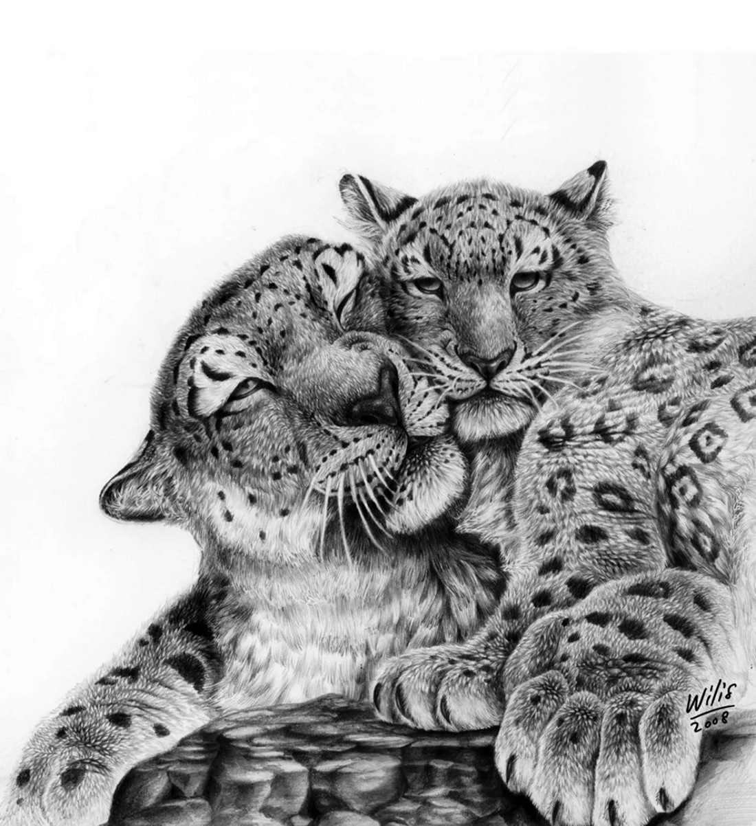 Рисунки любовь животных. Красивое животное