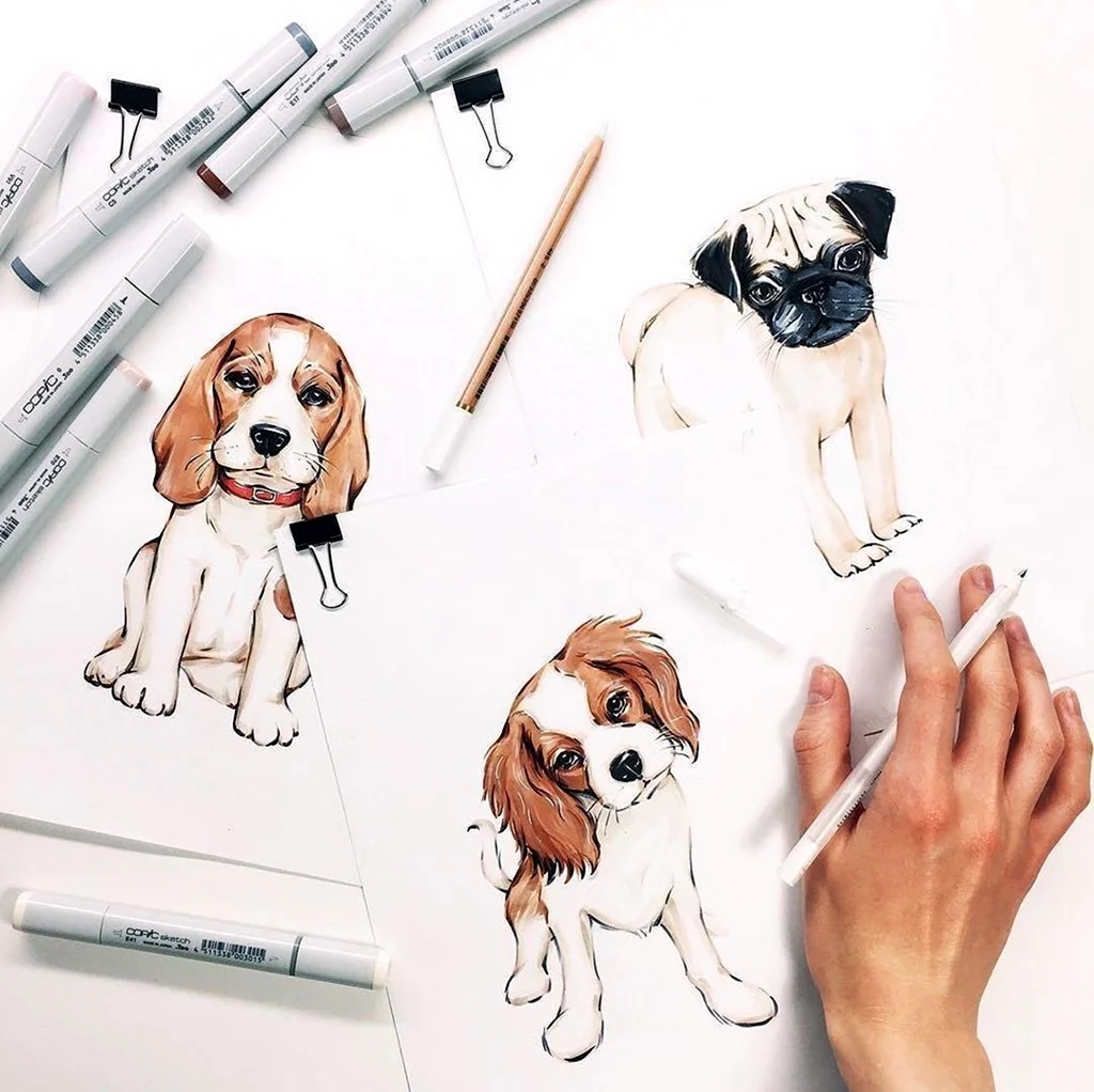 Рисунки маркерами для скетчинга собаки. Для срисовки